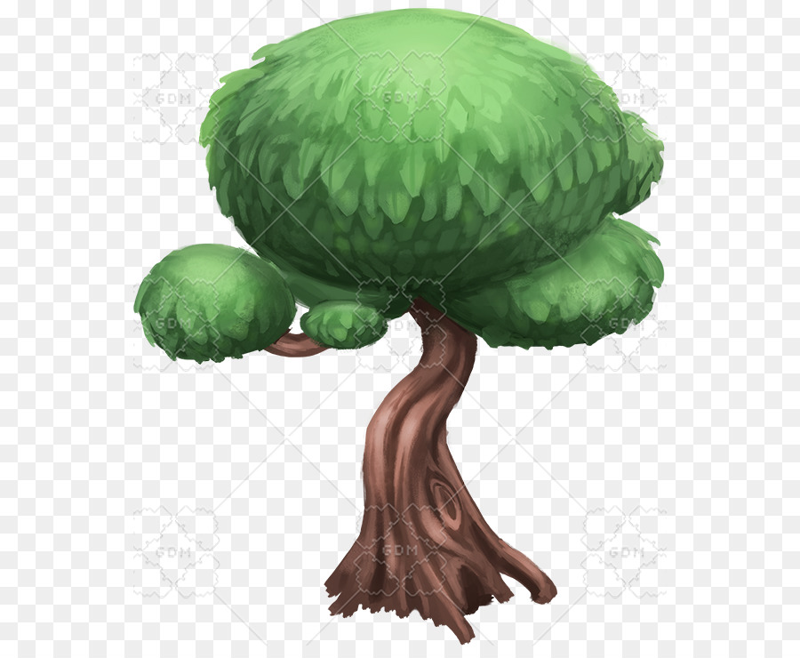 Árbol，Planta PNG