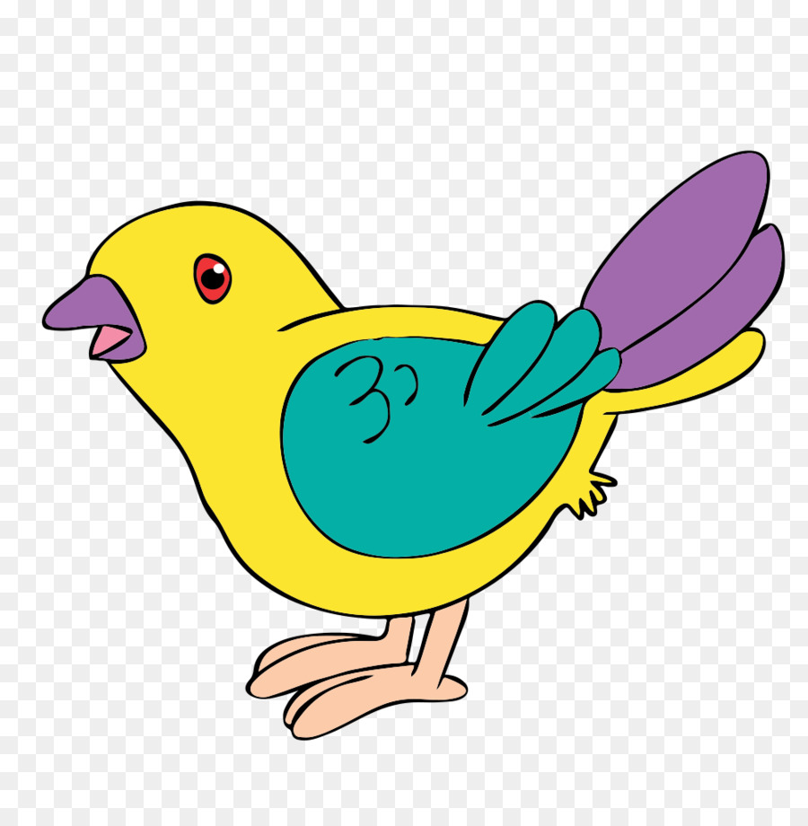 Pájaro，Plumas PNG