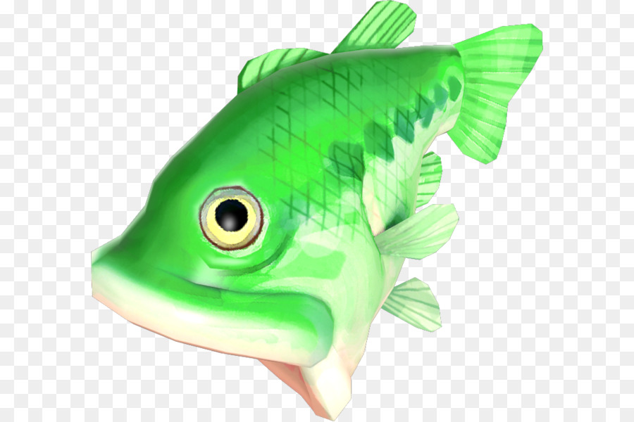 Los Peces，Los Peces óseos PNG