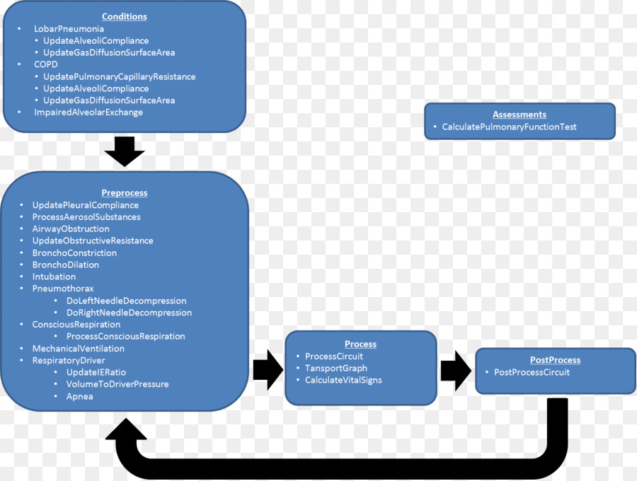 Sistema Respiratorio，Respiración PNG