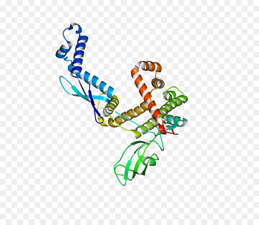 Estructura Proteica，Molécula PNG