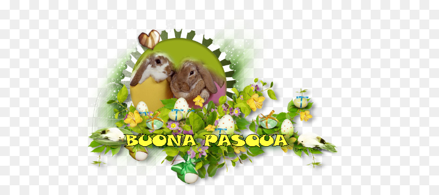 Pascua，Centerblog PNG