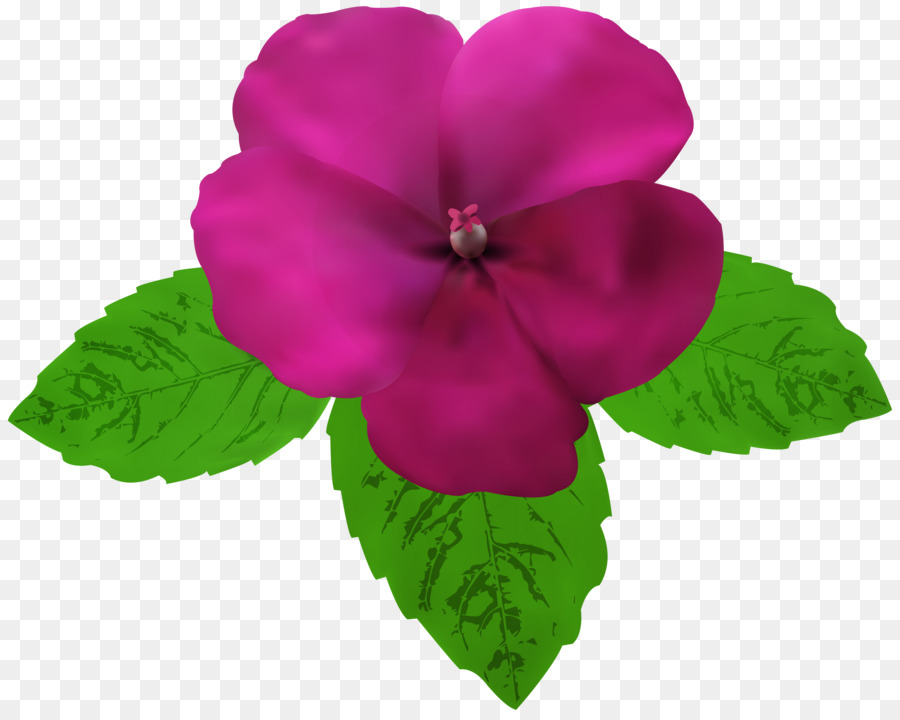 Flor Rosa，Hojas PNG