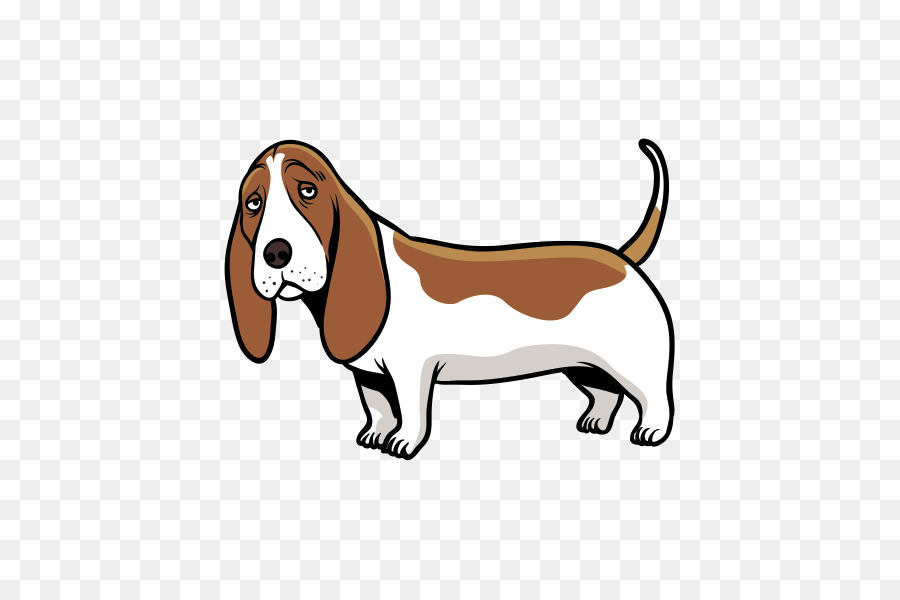 Beagle，Basset Hound PNG