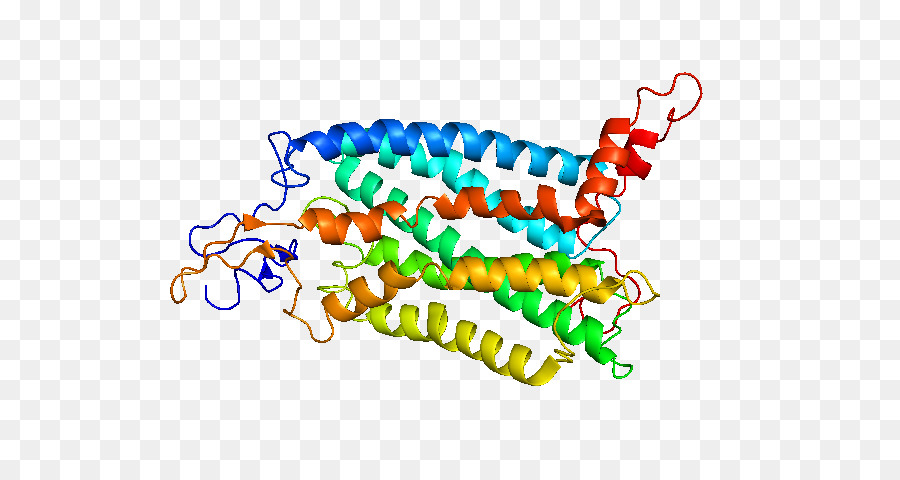 Ccr2，Quimioquinas PNG