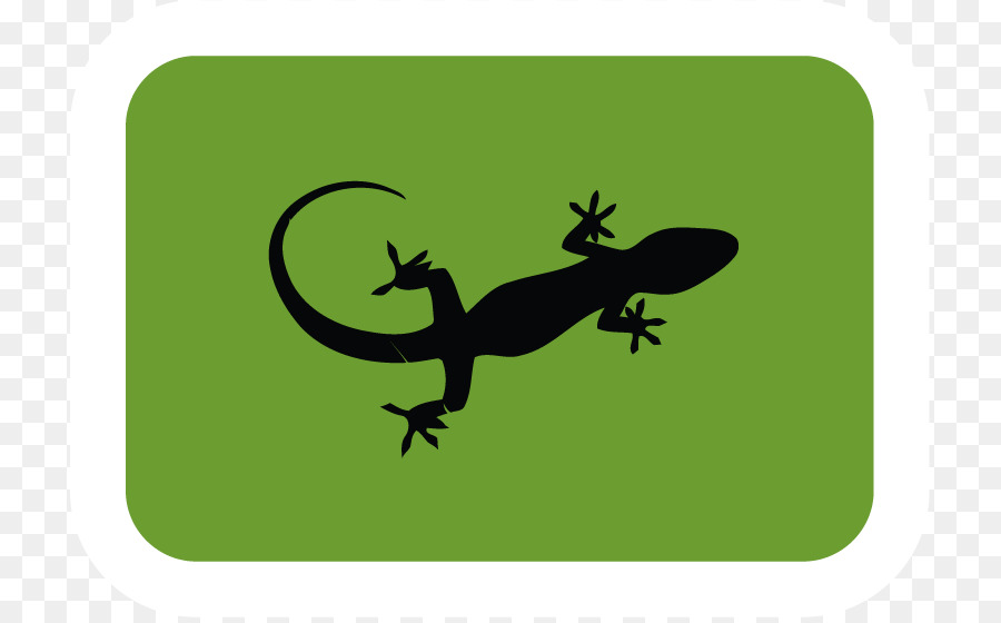 Geco，Lagarto PNG