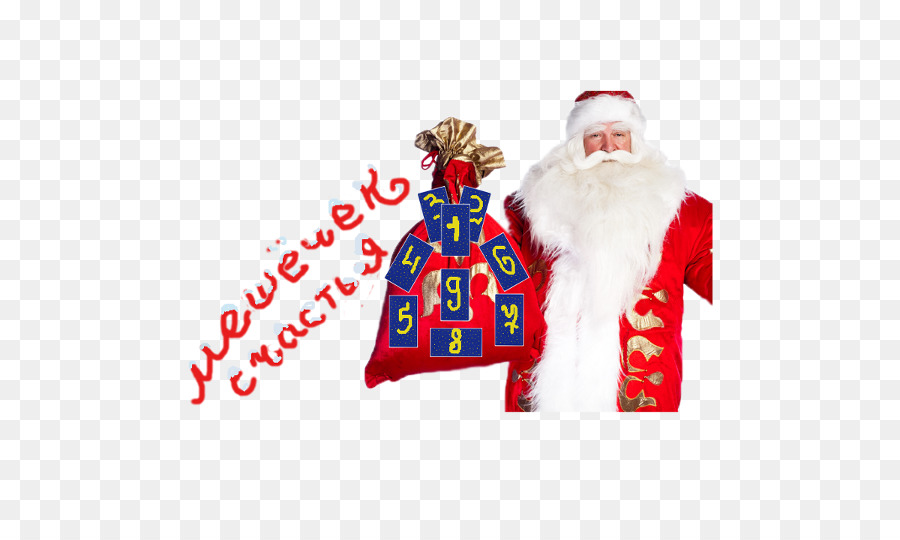 Santa Claus，Año Nuevo Santa Claus PNG