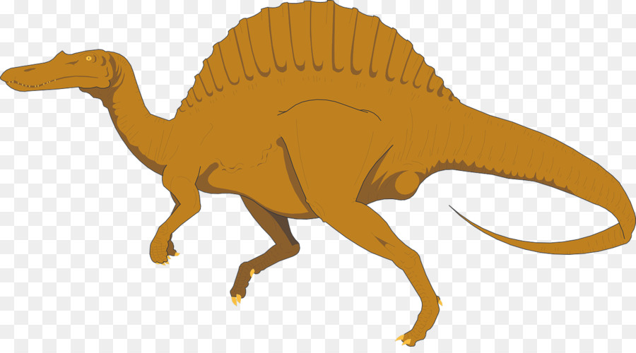 Spinosaurus，Apatosauro PNG