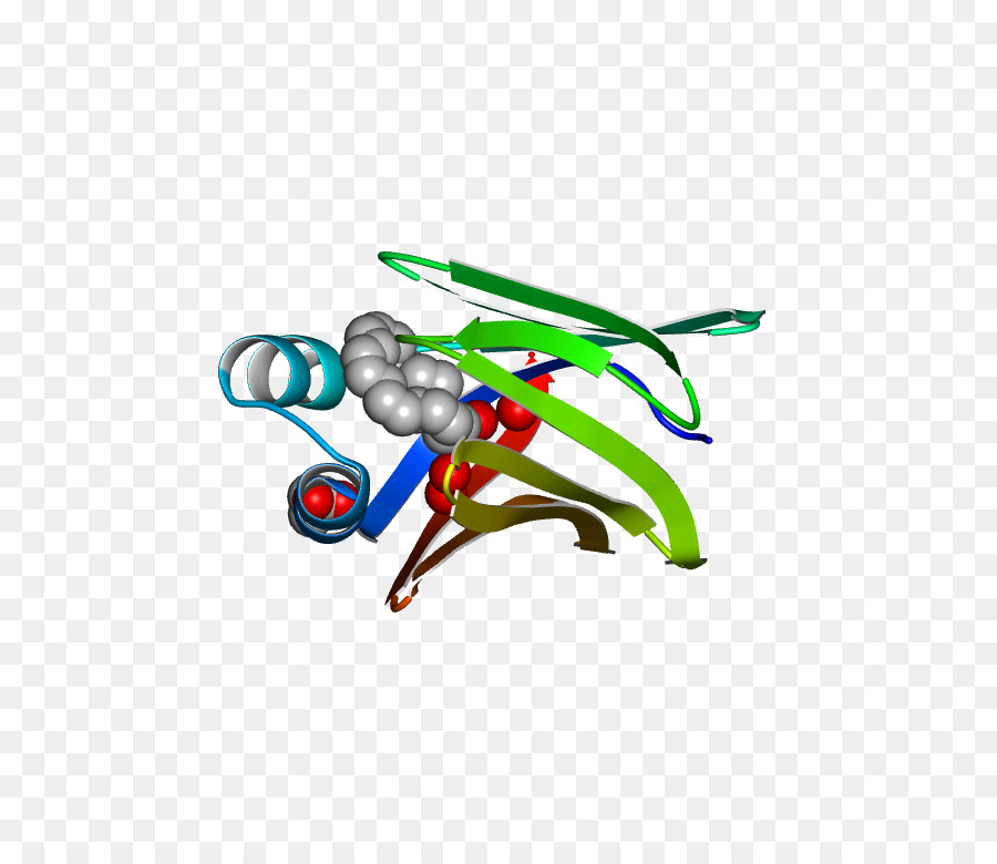 Línea，El Cuerpo De La Joyería PNG