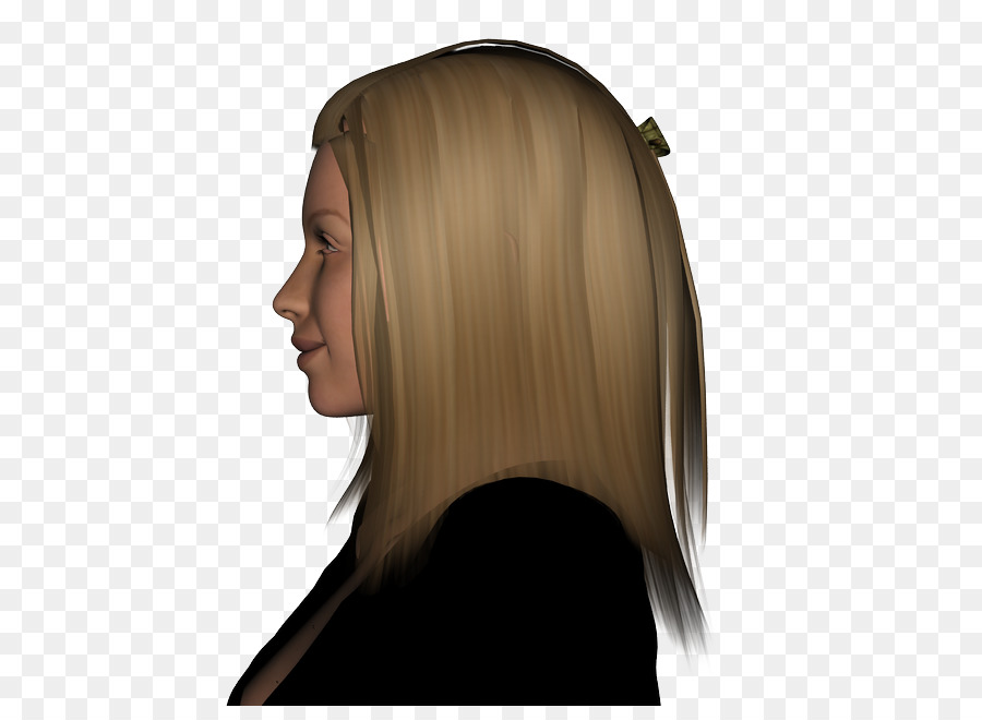 La Coloración Del Cabello，Cabello PNG