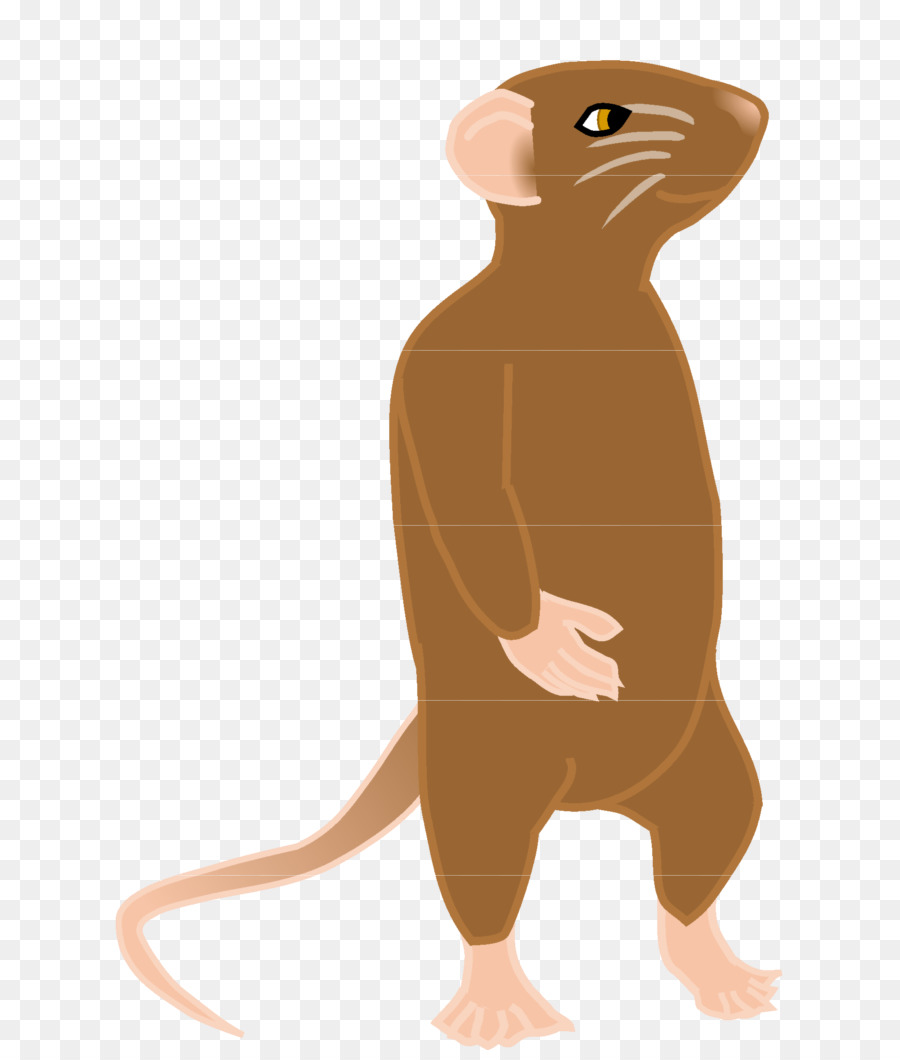 Bigotes，El Ratón De La Computadora PNG