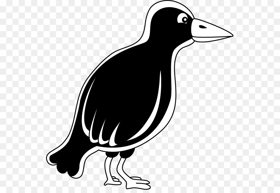 Pato，Cuervo PNG