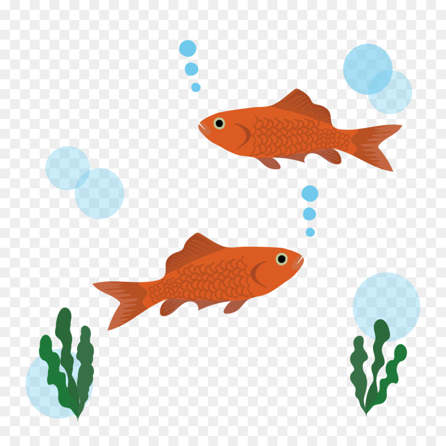 Pez，Los Peces PNG