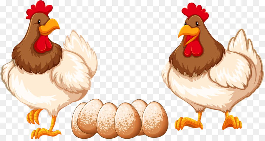 Pollo Leghorn，Gallo PNG