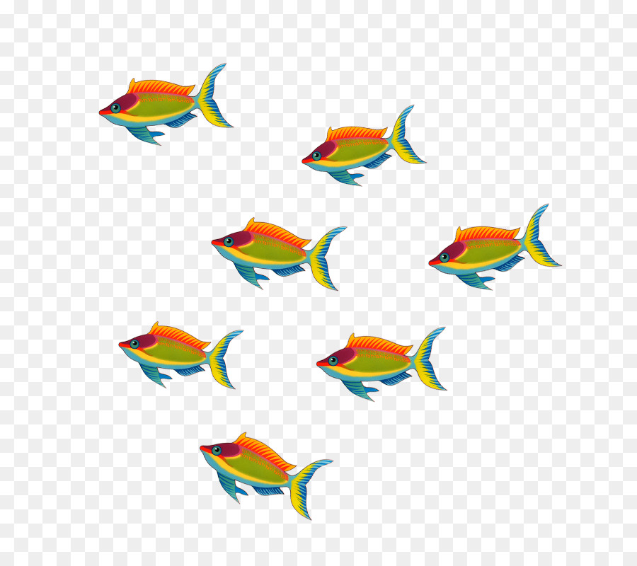 Descargar，Los Peces PNG