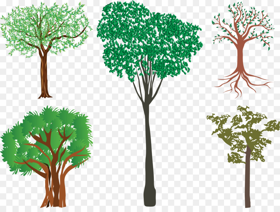 Árboles，Naturaleza PNG