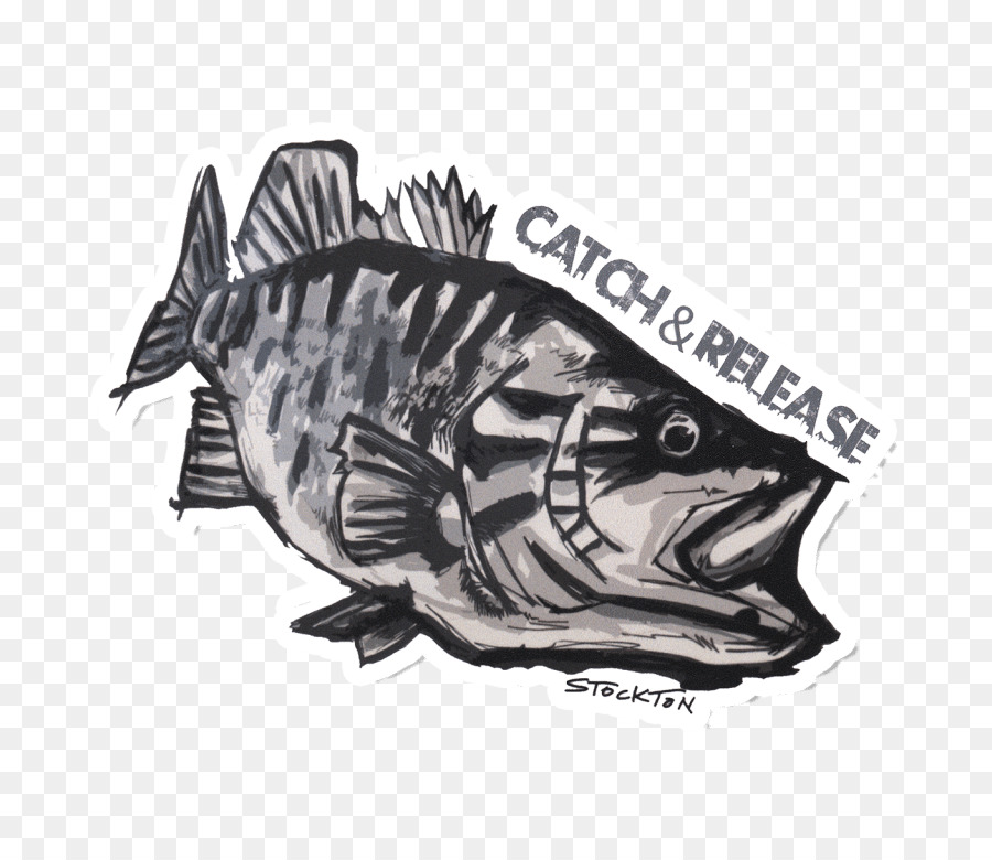 Calcomanía，La Pesca PNG