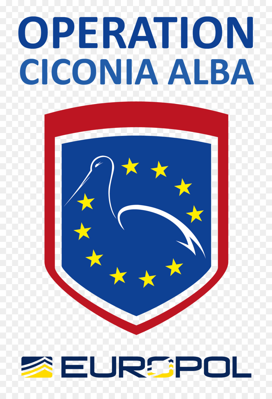 Cigüeña Blanca，Ciconia PNG