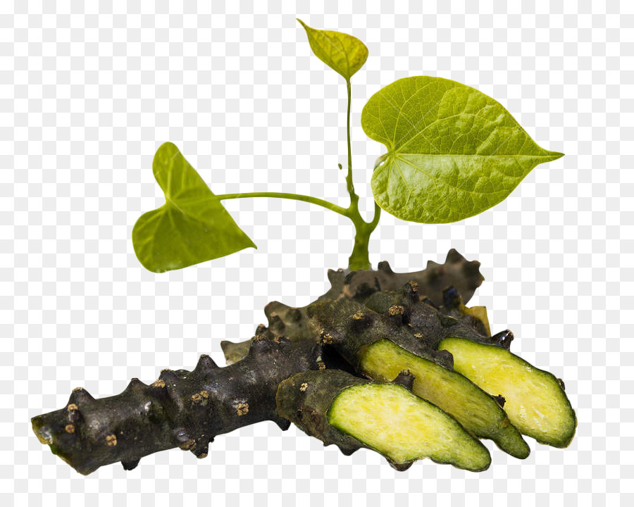 Heartleaved Moonseed，Una Fotografía De Stock PNG