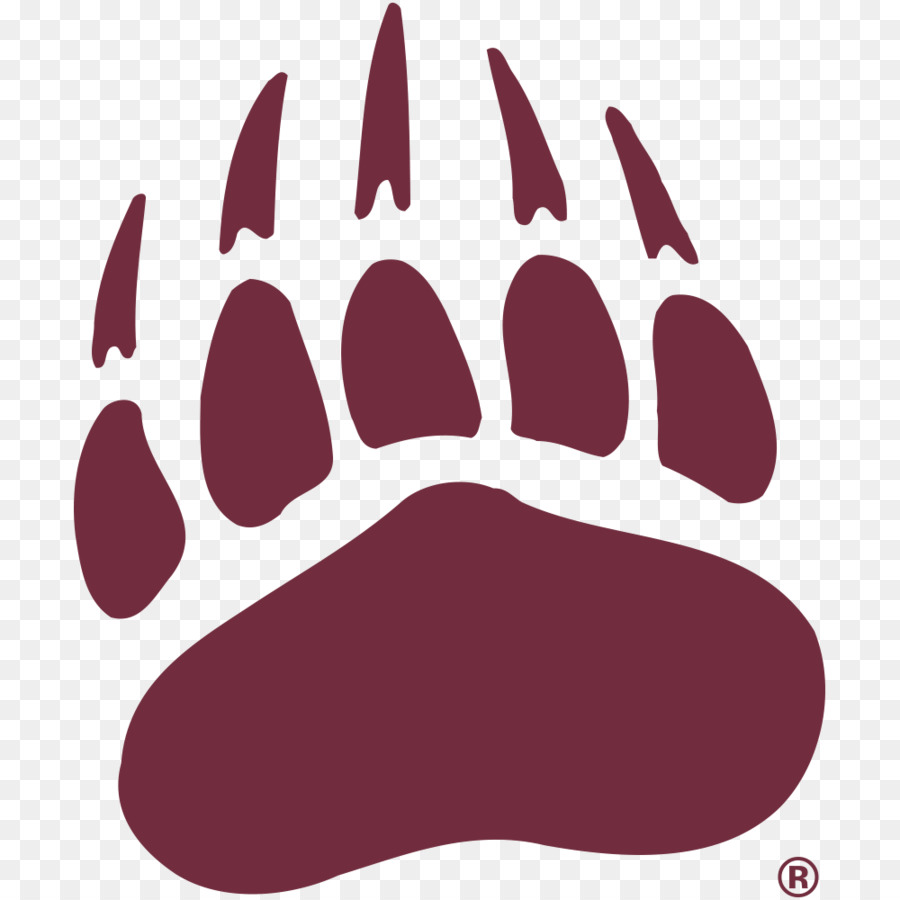 La Universidad De Montana，Montana Grizzlies De Fútbol PNG