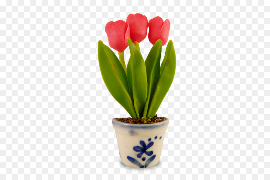 Tulip，Cachepot PNG