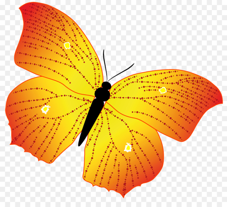 La Mariposa Monarca，Mariposa PNG