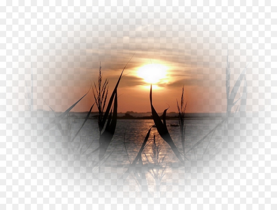 Atardecer，Pintura PNG