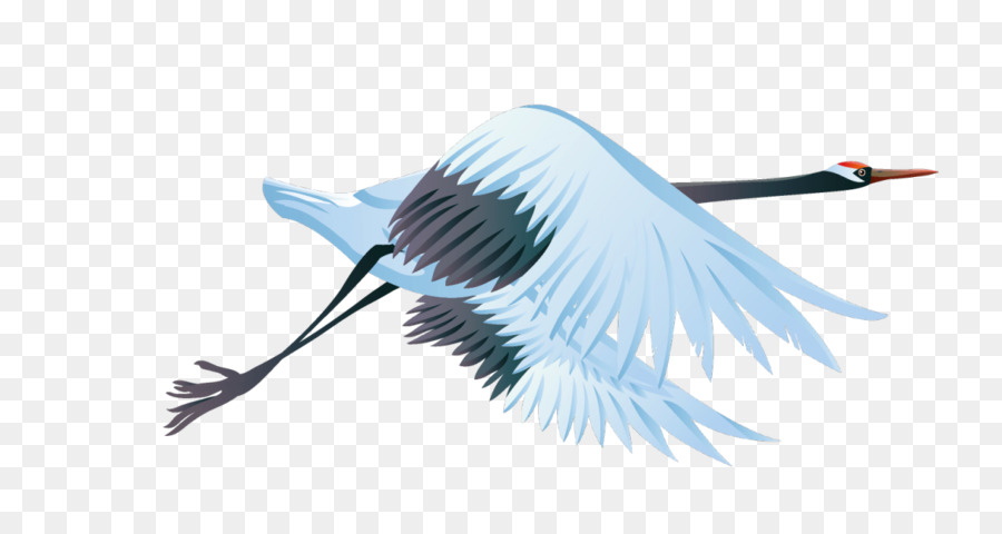 Grúa，Aves PNG