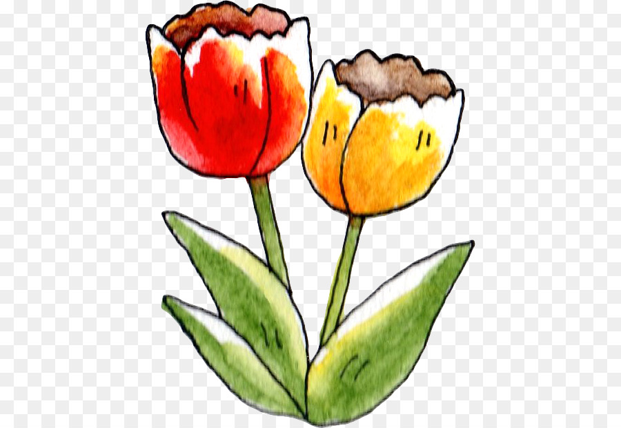 Tulip，Flor PNG