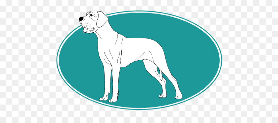 Lebrel Italiano，Whippet PNG