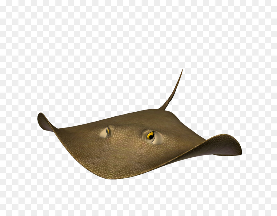 Mantarraya，Mar PNG