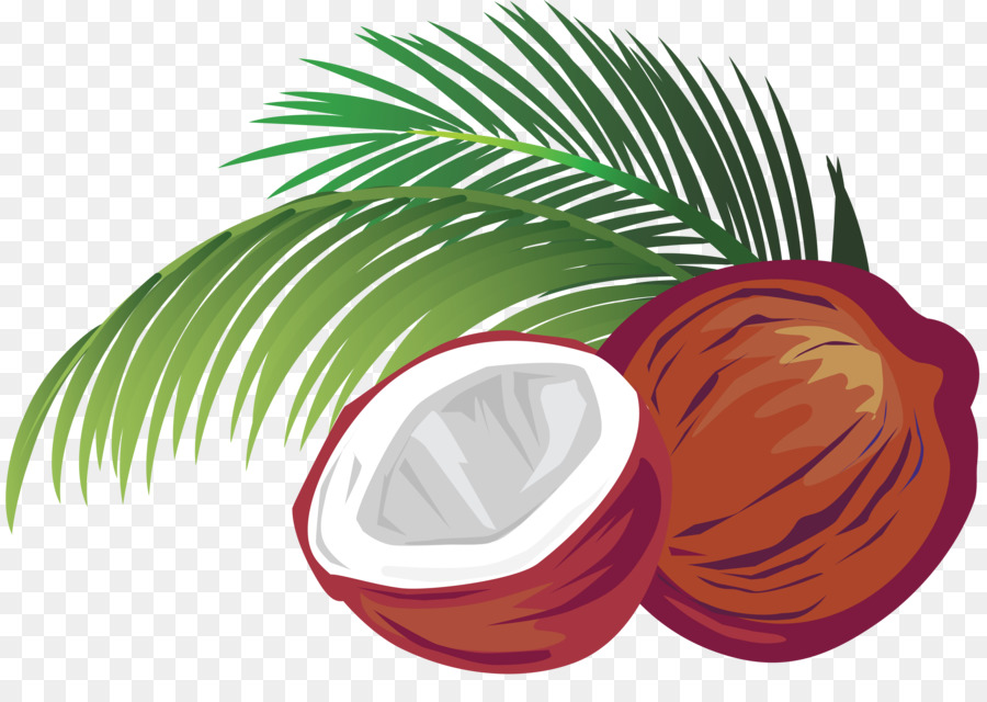 La Leche De Coco，Agua De Coco PNG