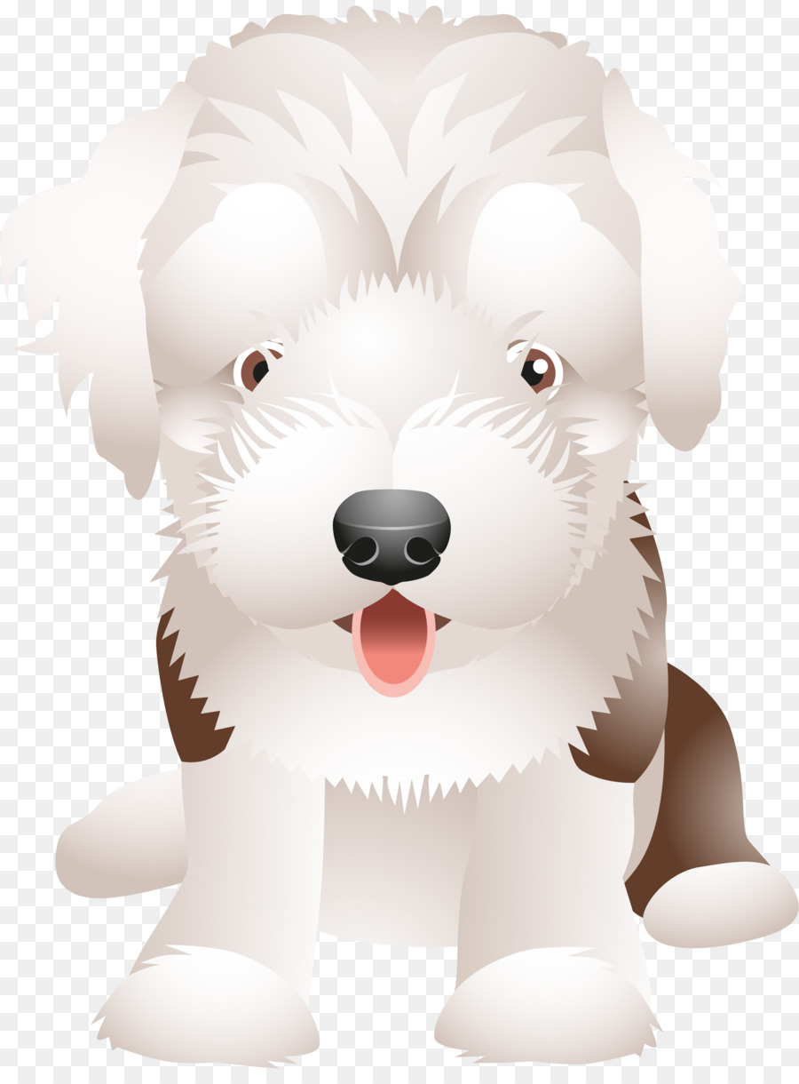 Perro Maltés，Cachorro PNG