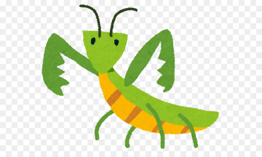 Mantis，Los Insectos PNG