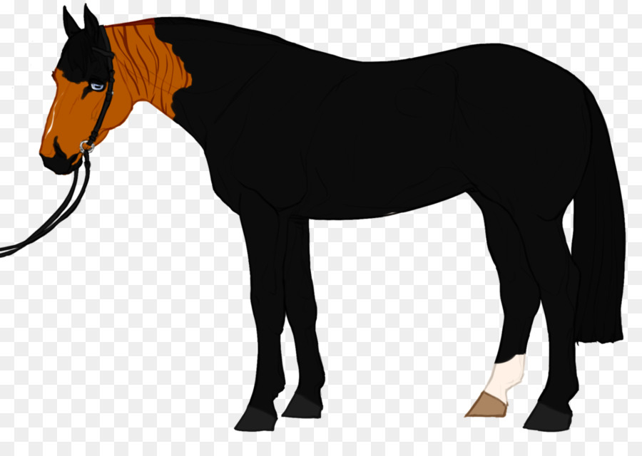 Mustang，Pony PNG