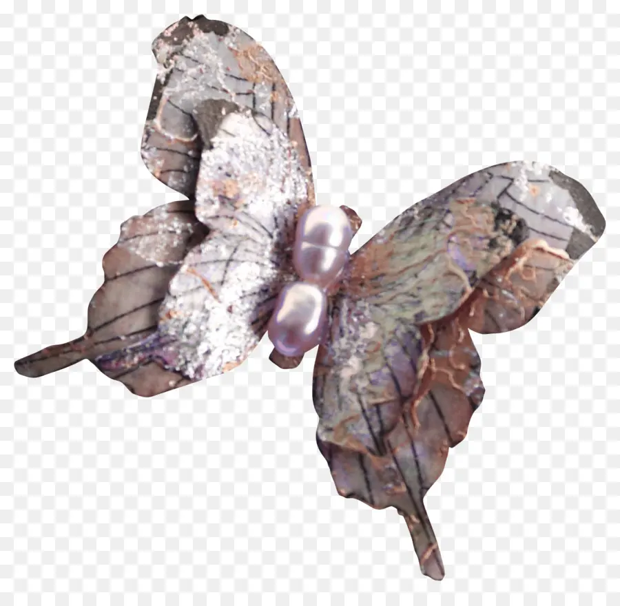 Mariposa，Alas PNG