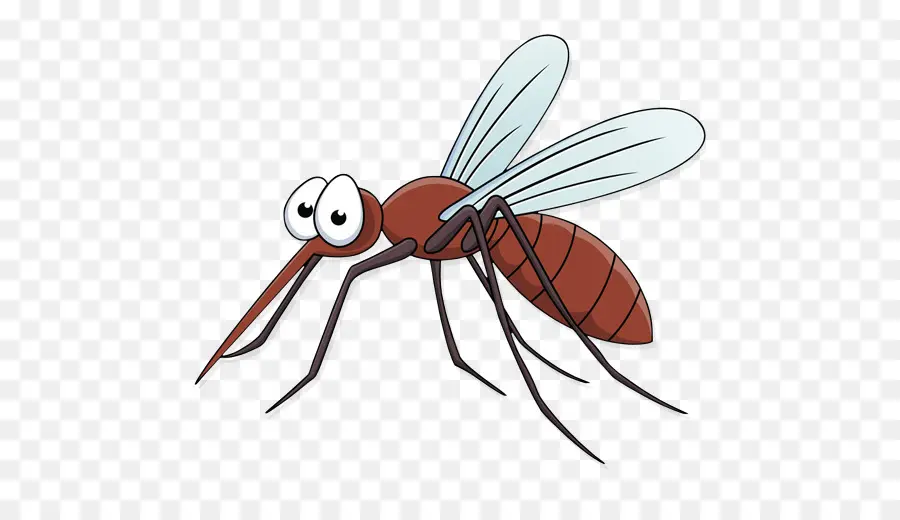 Mosquito，Bicho PNG