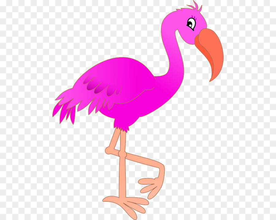 Flamingo，De Plástico Flamingo PNG