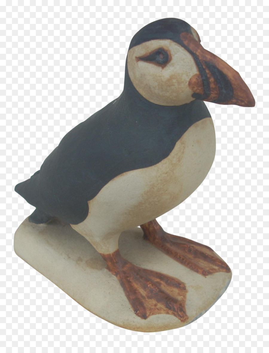 Puffin，Aves PNG