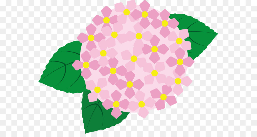 Hakusanji，French Hydrangea PNG