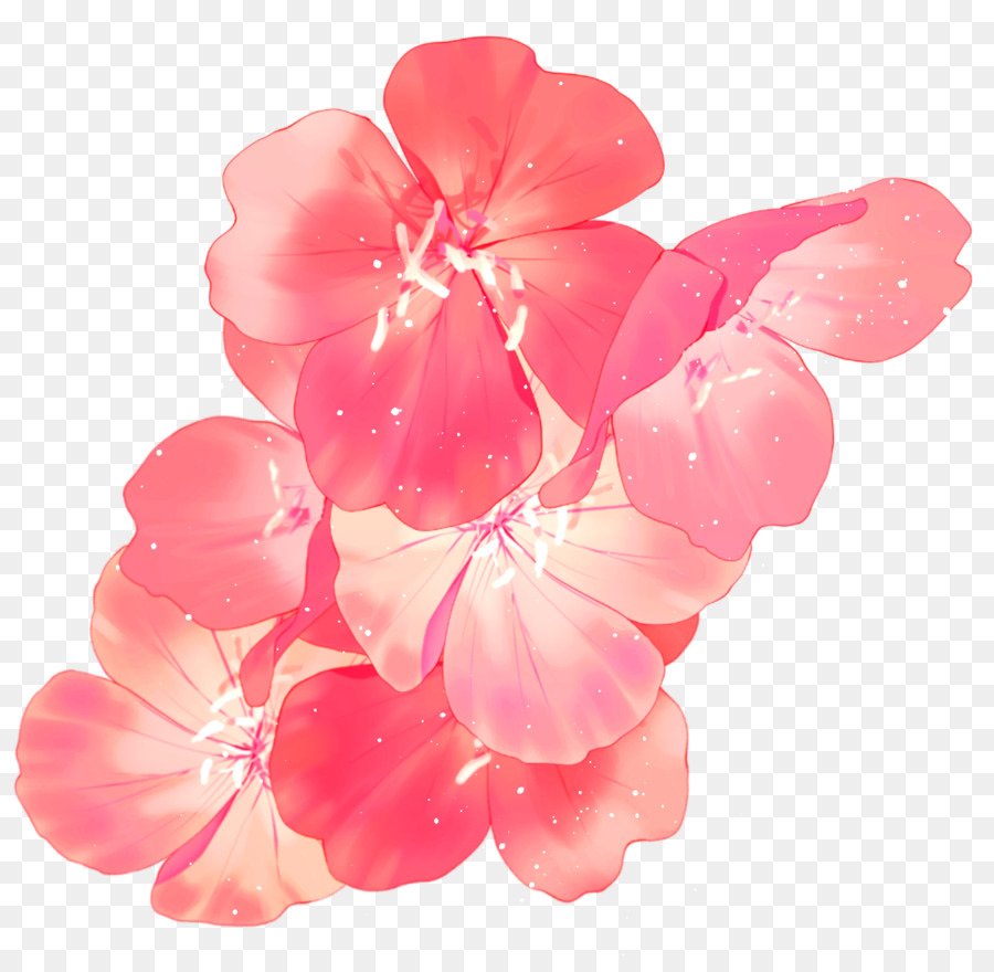 Flores Rosadas，Florecer PNG