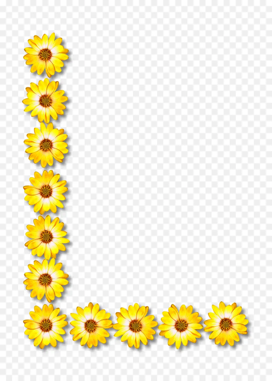 Común De Girasol，Iconos De Equipo PNG