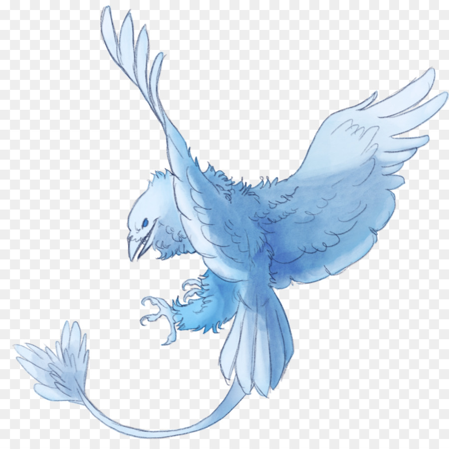 Pluma，Aves PNG