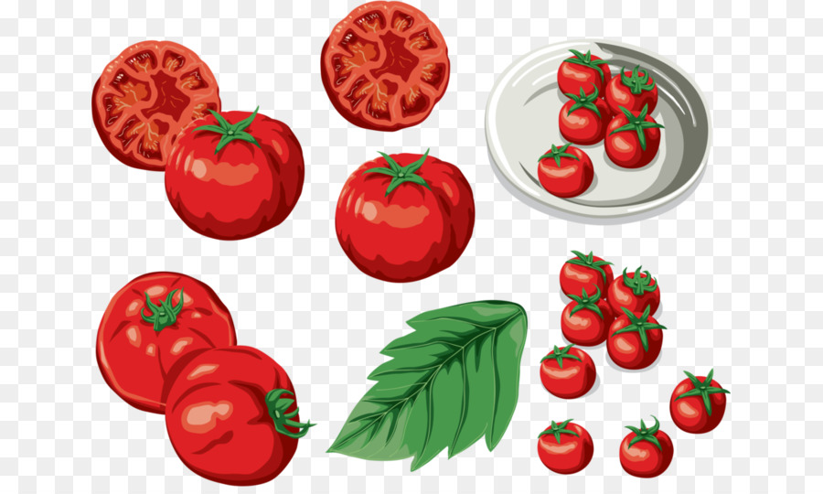 Tomate，Bush Tomate PNG