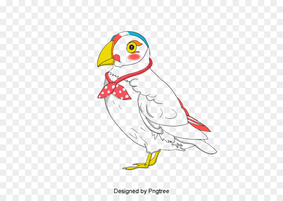Pollo，Aves PNG
