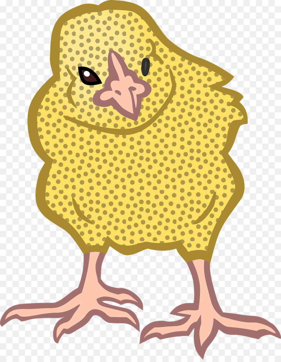 Pollo，Amplio Pecho Blanco Turquía PNG