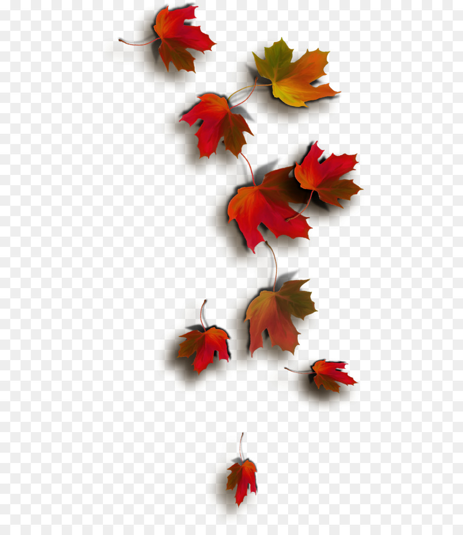 Hojas De Otoño，Caer PNG