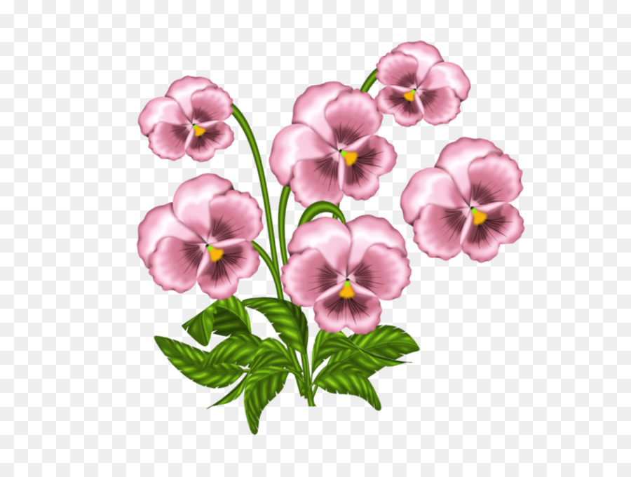 Las Violetas Africanas，Pansy PNG