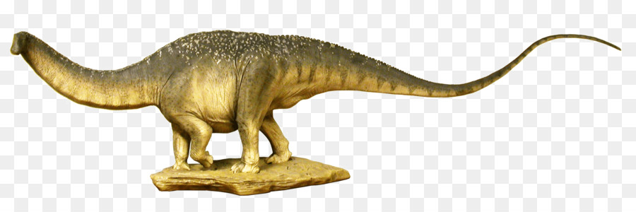 Apatosauro，Brontosaurus PNG