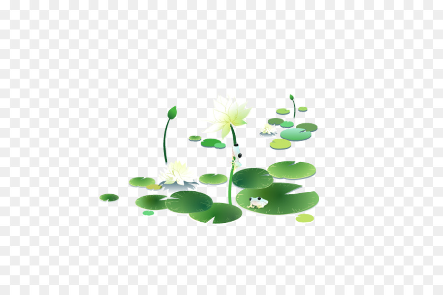 Flores De Trébol Blanco，Trébol PNG